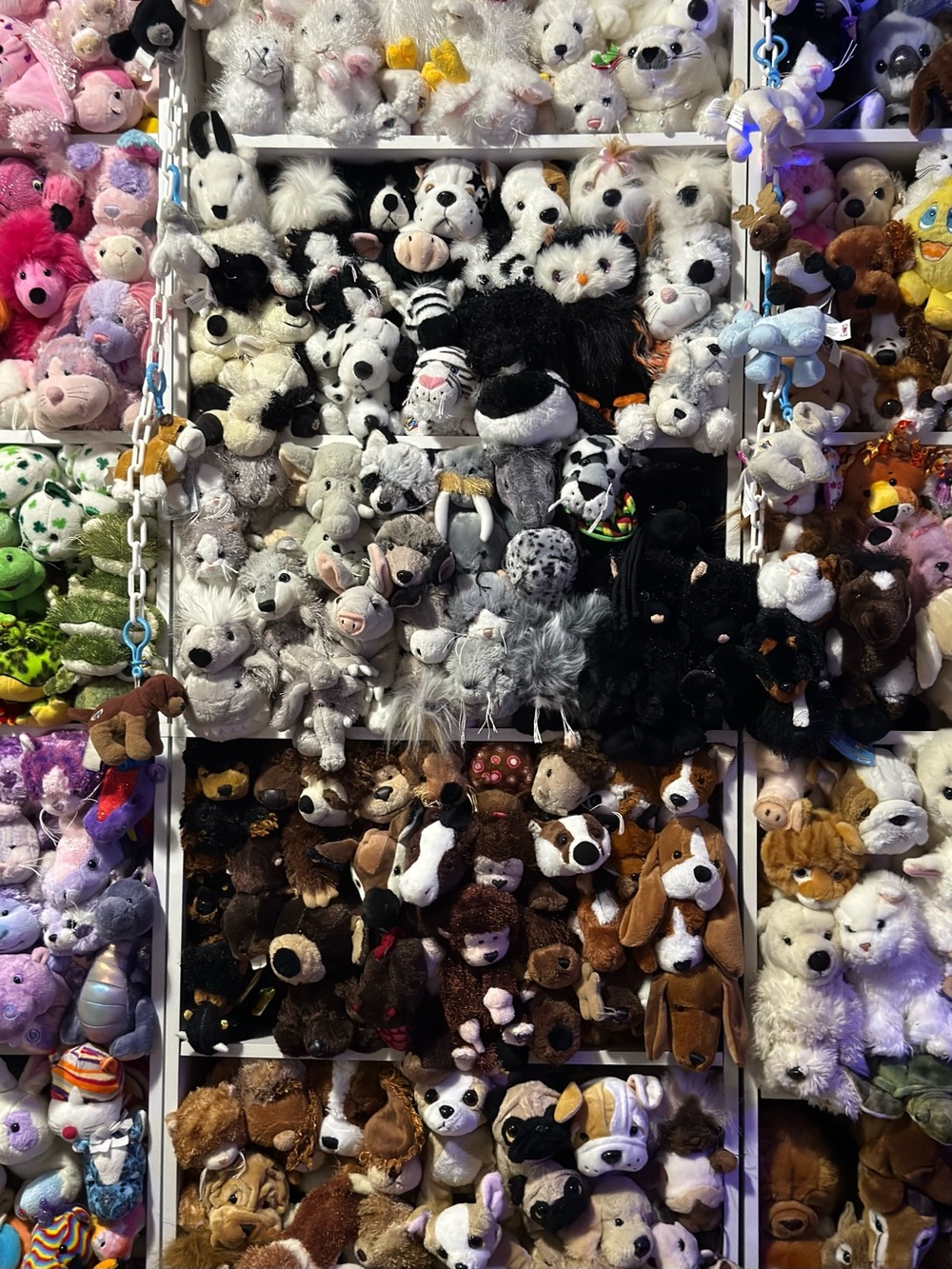 WEBKINZ COLLECTION PURGE